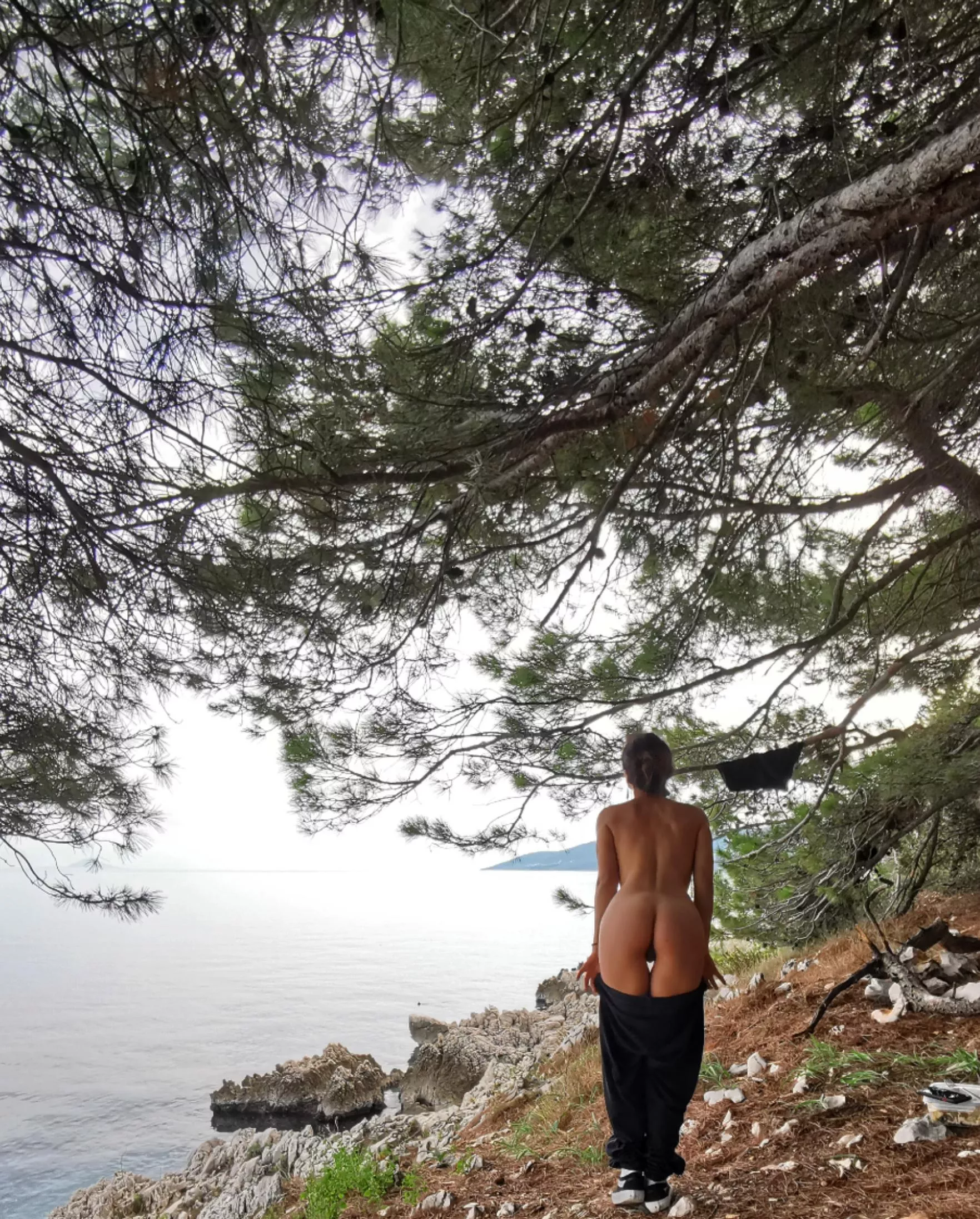 Under the pine trees on a rocky beach... No one will find us here I promise