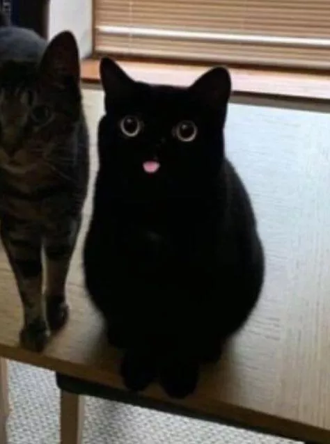 What switches actually look like 