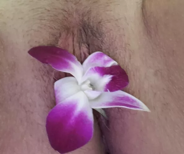 When in Hawaii, use their flowers. [Wpc]