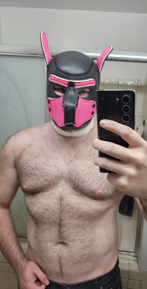 Would love to make some pup friends. Hmu if you want to chat!