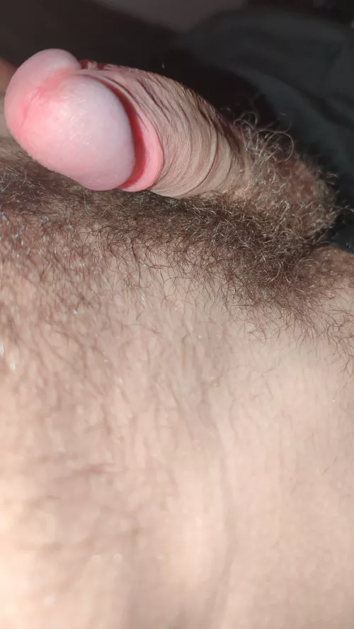 Would you suck my hairy dick?