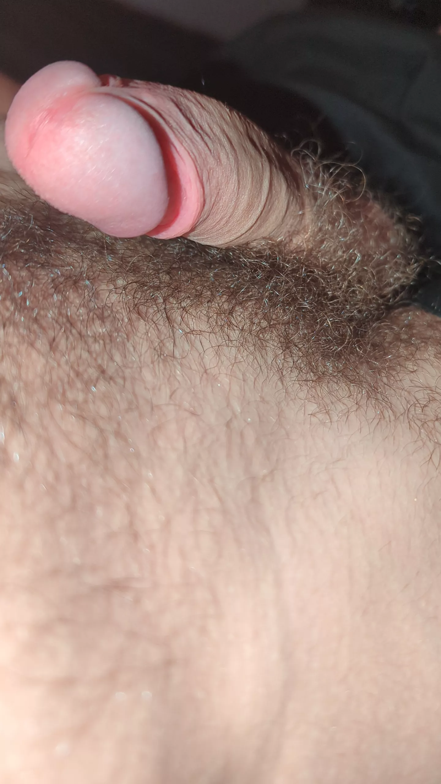 Would you suck my hairy dick?