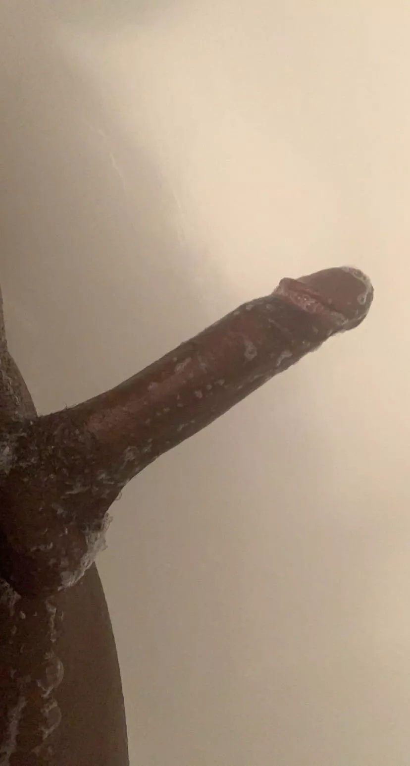 19 IRT M4F (available bull)