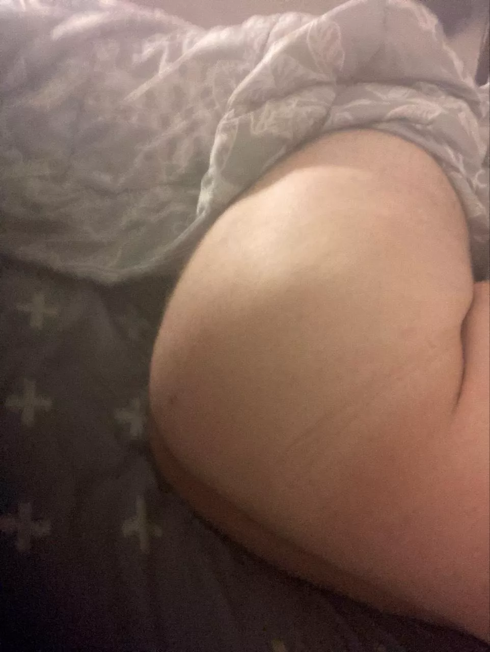 19 m hosting Pukekohe 