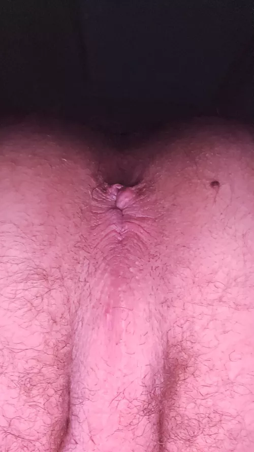 21 M4M Florida Cape coral bottom looking for bbc to help train me. Dm, im willing to travel or carplay.