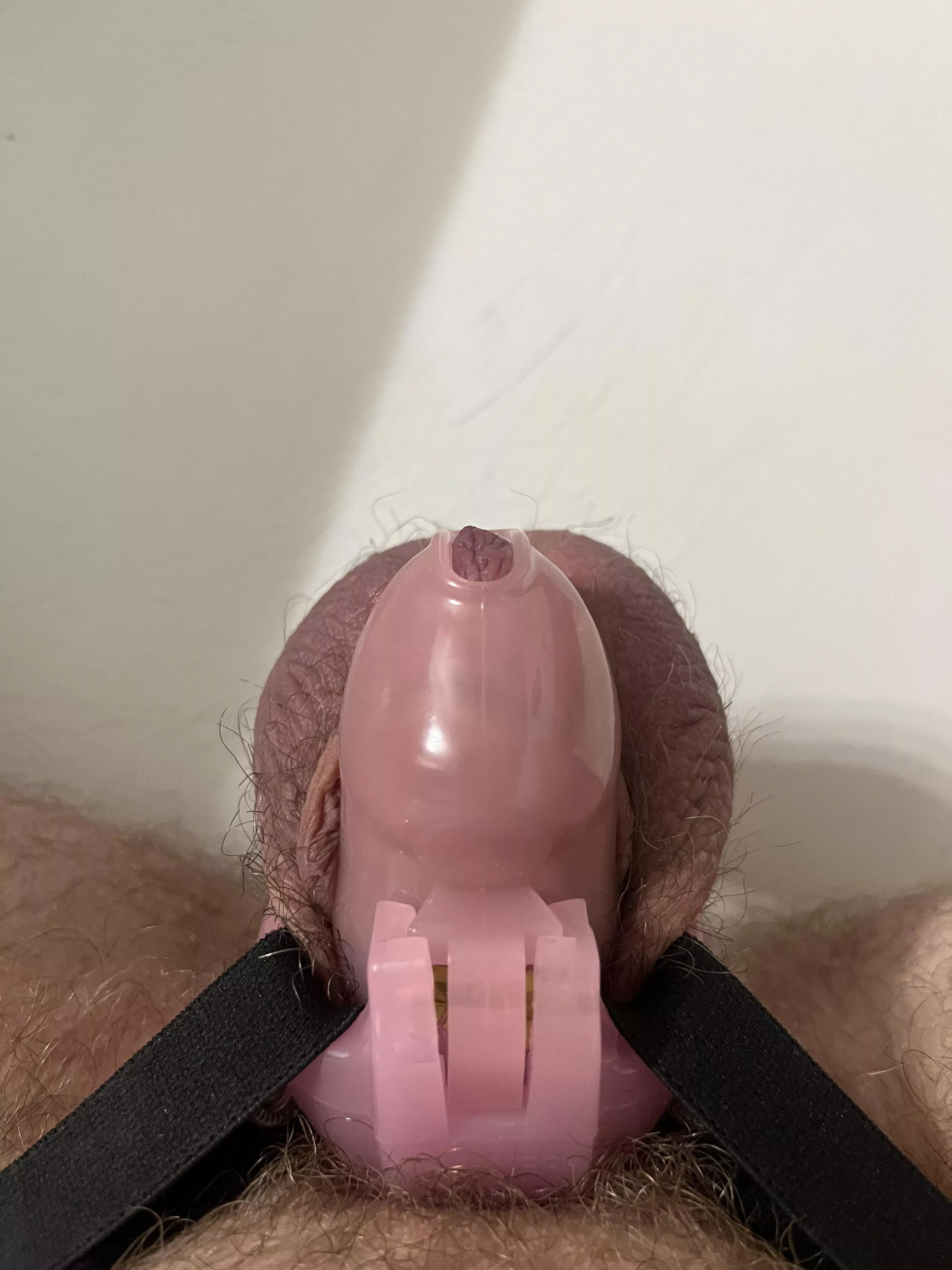 [30] Houston Texas sub whiteboi