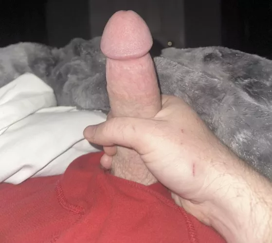38m4f reg playmate