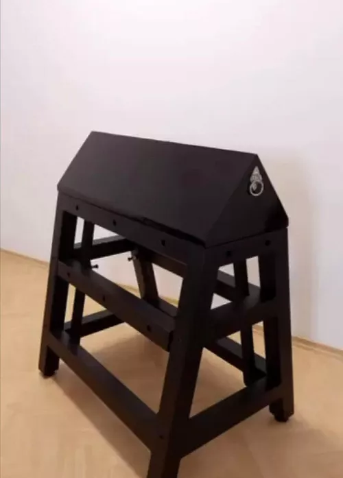 A dream coming true. First wooden horse ride 