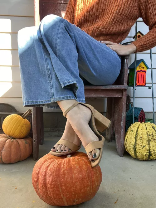 A little pumpkin spice for your day