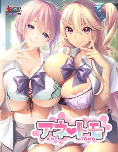 Anetomo Hino Eimi Hen The Motion Anime