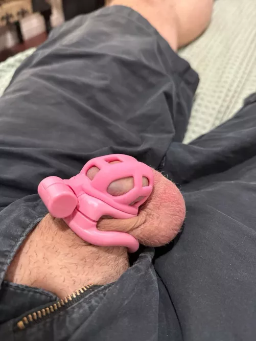 Another day as a caged cuckold