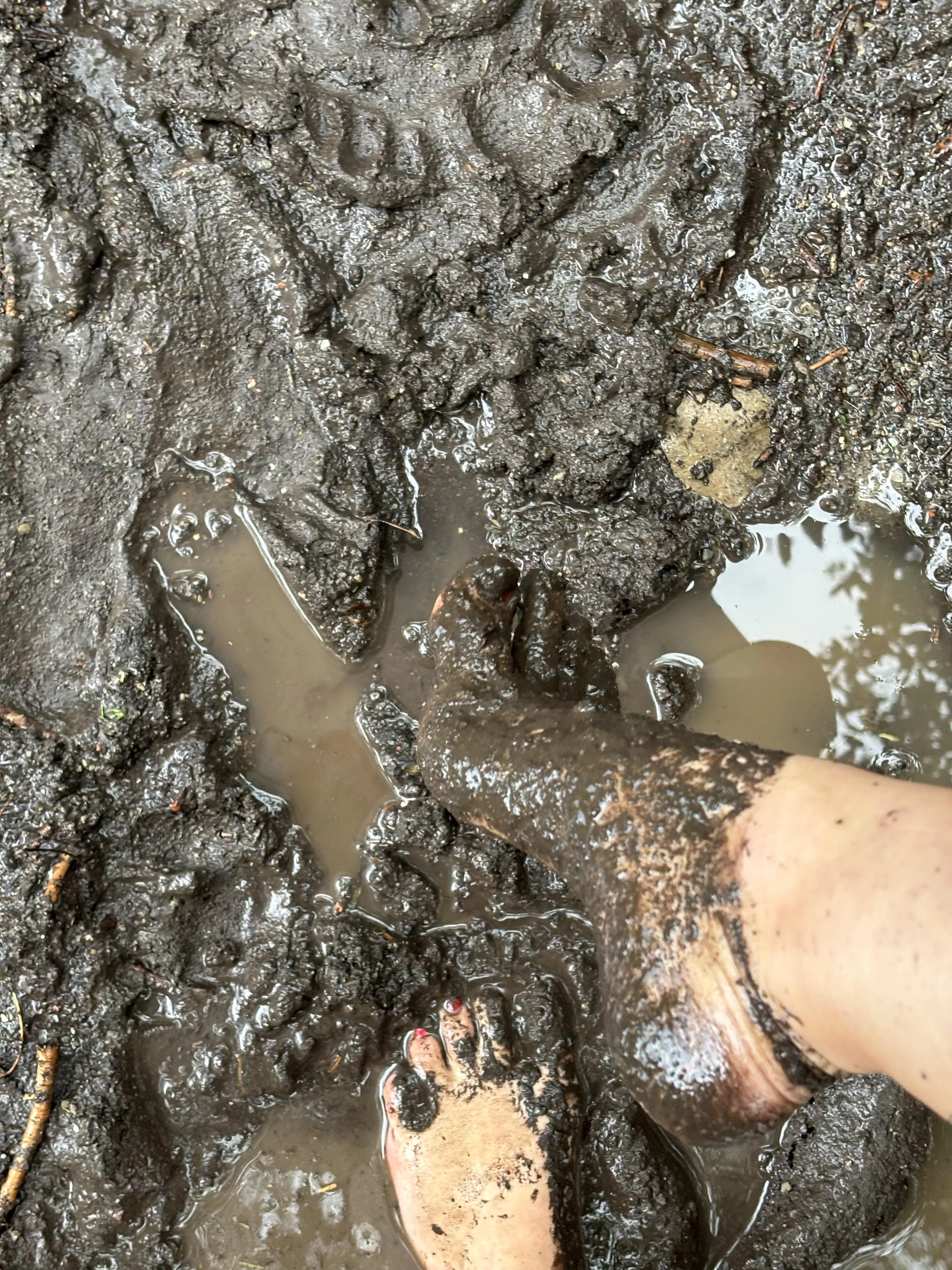 another pic of my last day's barefoot walk in the mud