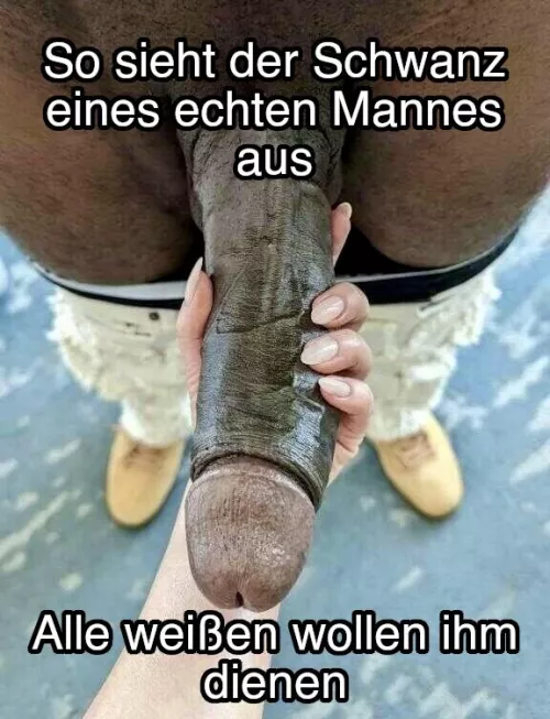 Auf die Knie!