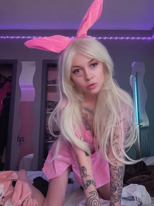 Baby🐰 looking for a daddy