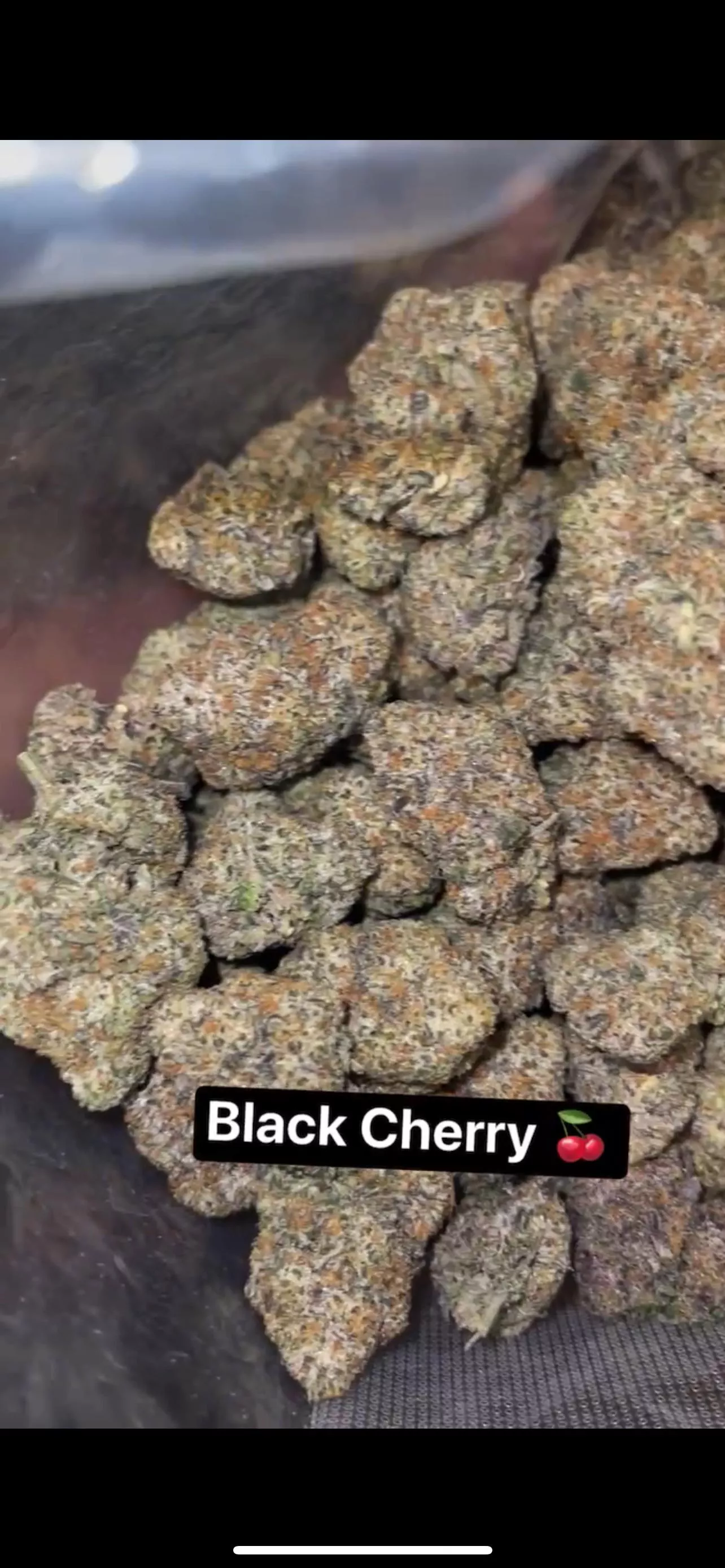 Black Cherry