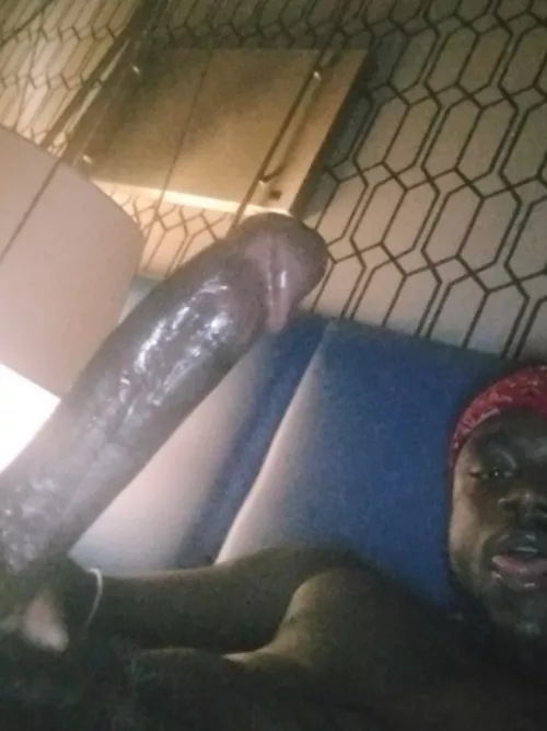 Black Young Bull Hosting 