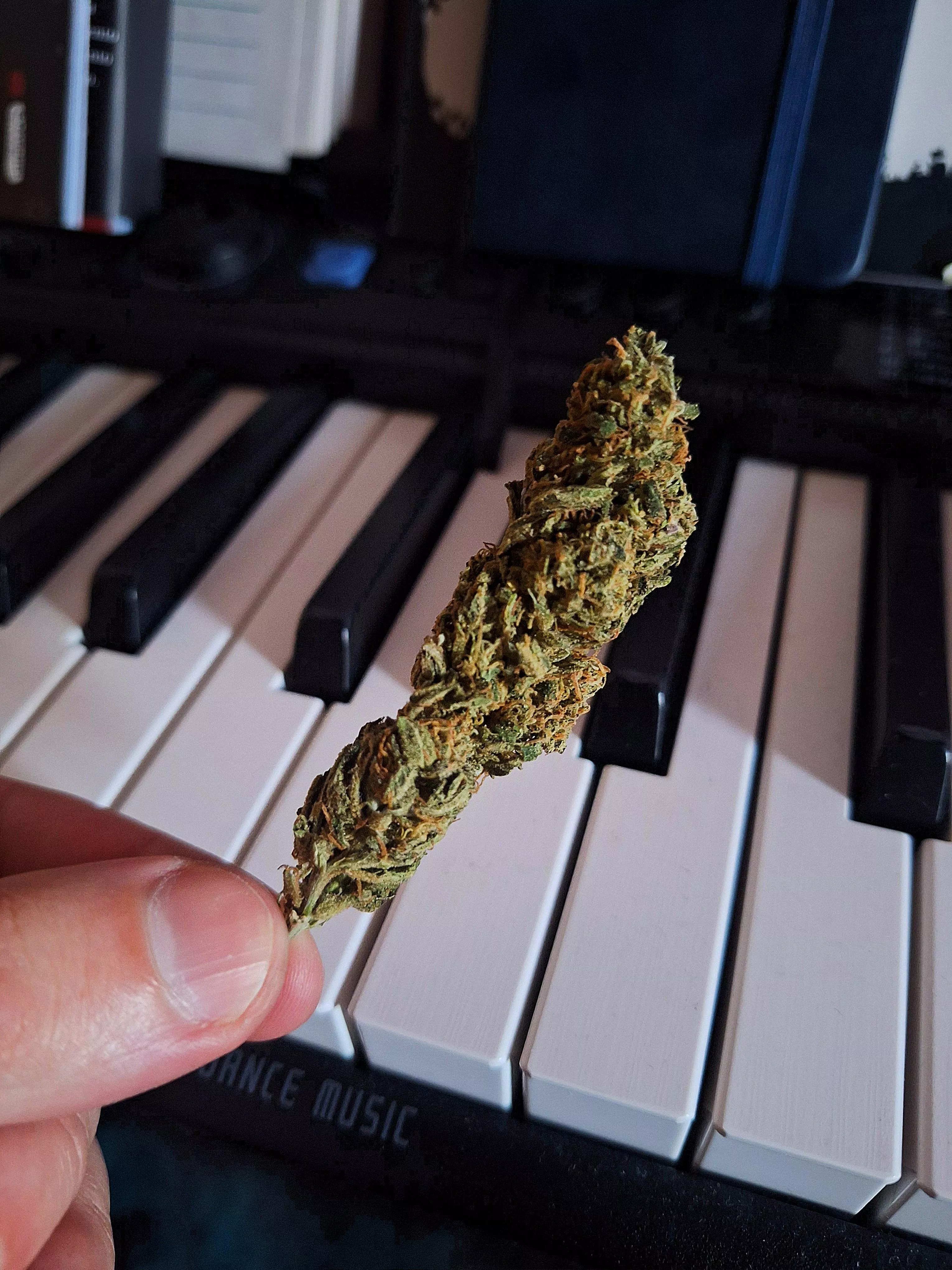 Bonita e cheirosa demais