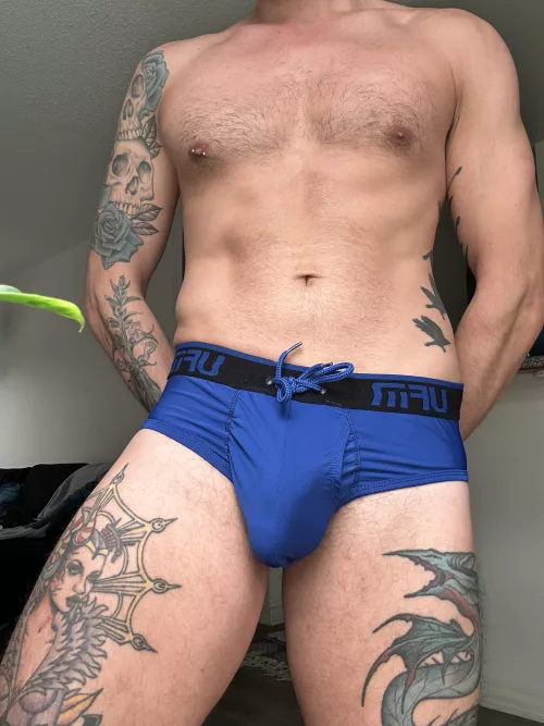 Briefs  in blue 