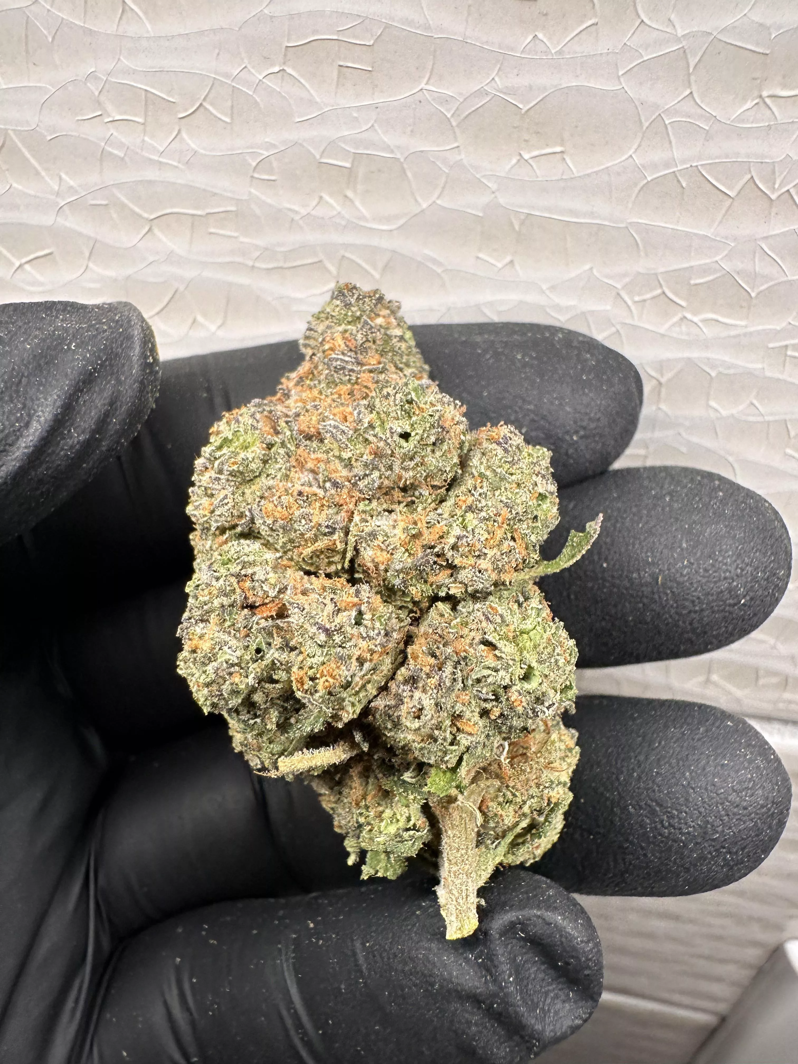 California Cherry 🍒 fresh hand trimmed ✂️