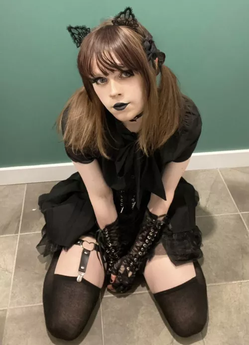 Cute wnough to pet? Or maybe something more...