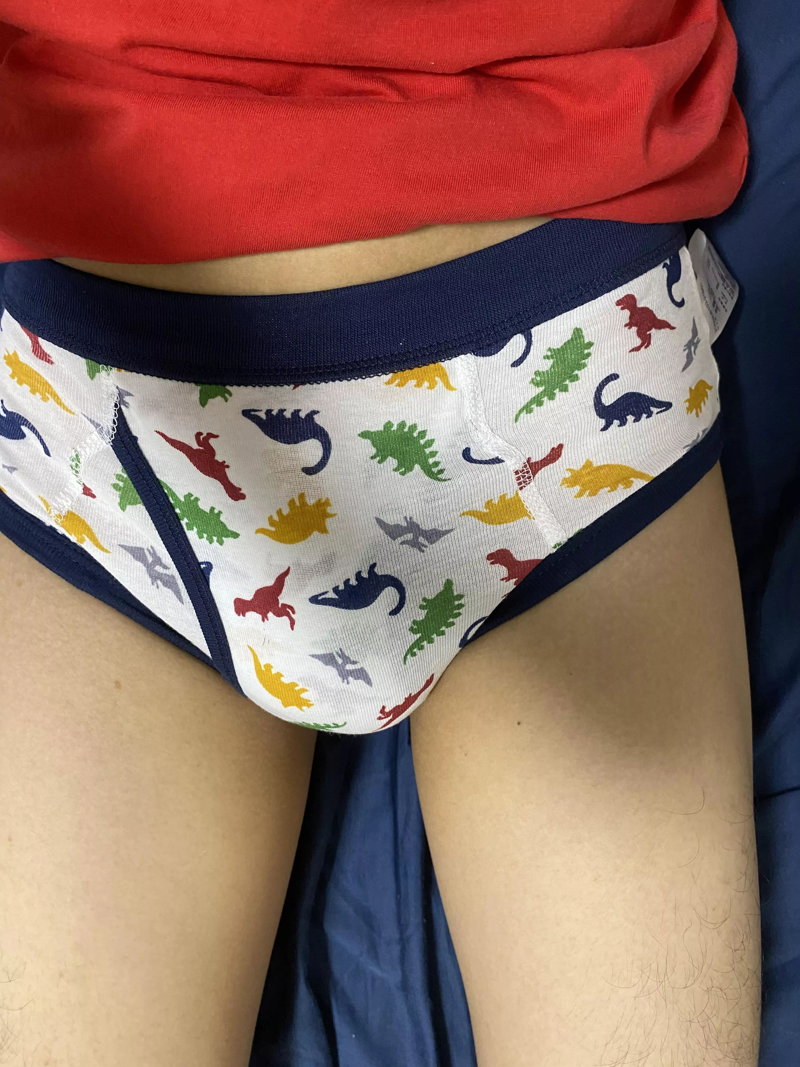 dinosaur briefs