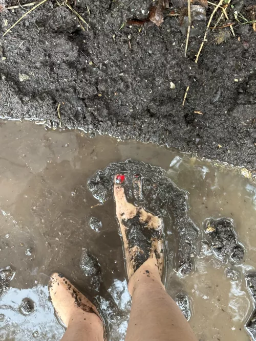 extreme dirty feed in the mud, is this so much for you?