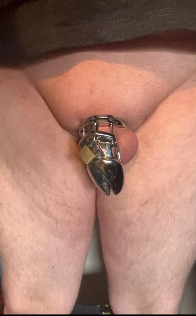 For evert upvote, i’ll spend a day locked in Chastity, if it reaches 100 upvotes, i’ll post my cage keys to another sissy