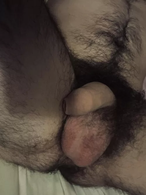 Hairy and soft before I start edging to you ;) 