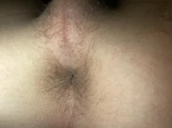 Hairy dicks only 