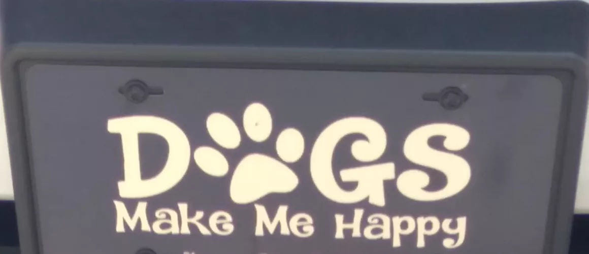 Hopefully the entire pic shows 