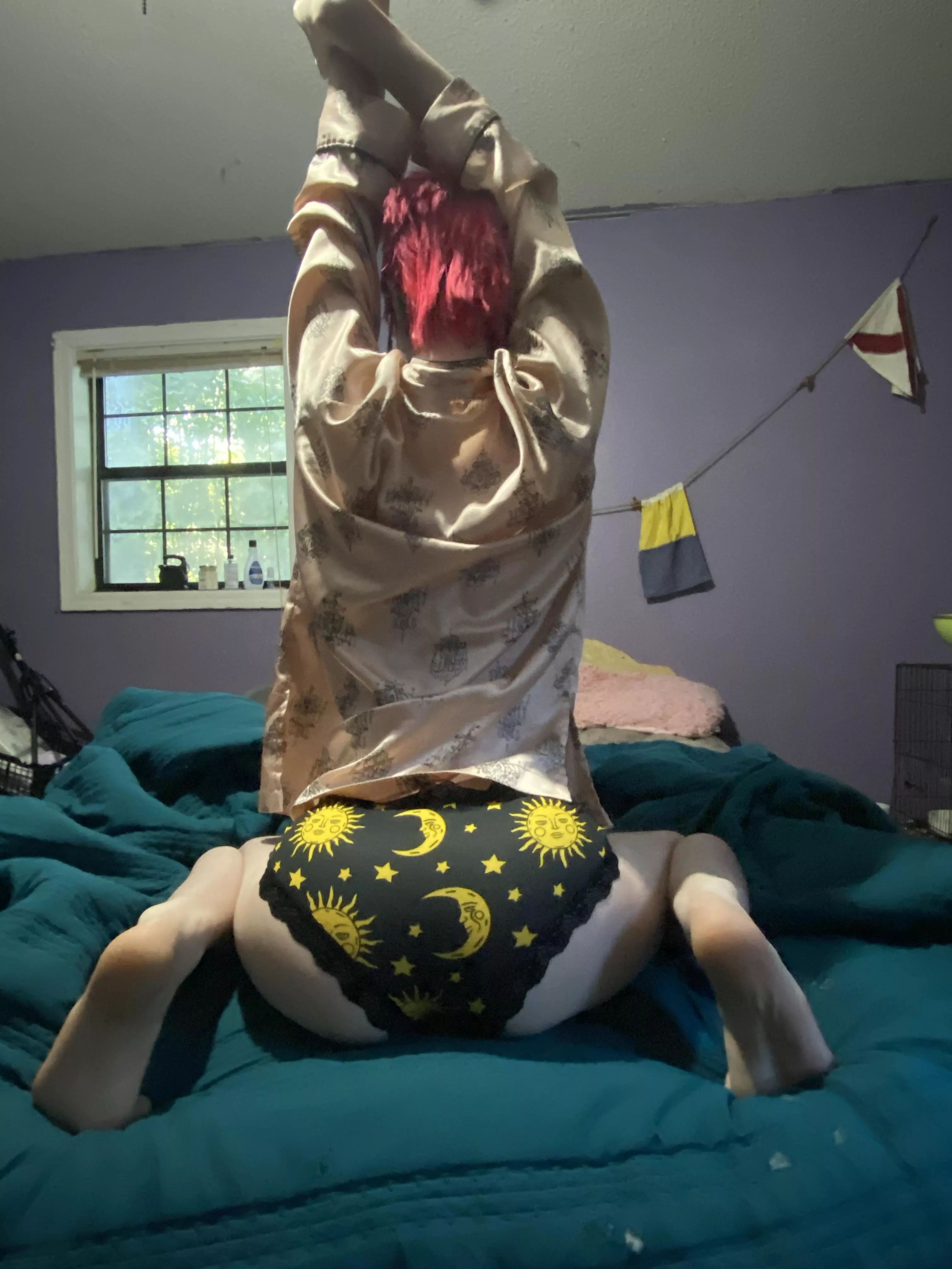 Hoping to find a new home for these bad boys :) Starting at $30 for a single day, with add ons available for purchase! FtM femboy with a musky scent! 