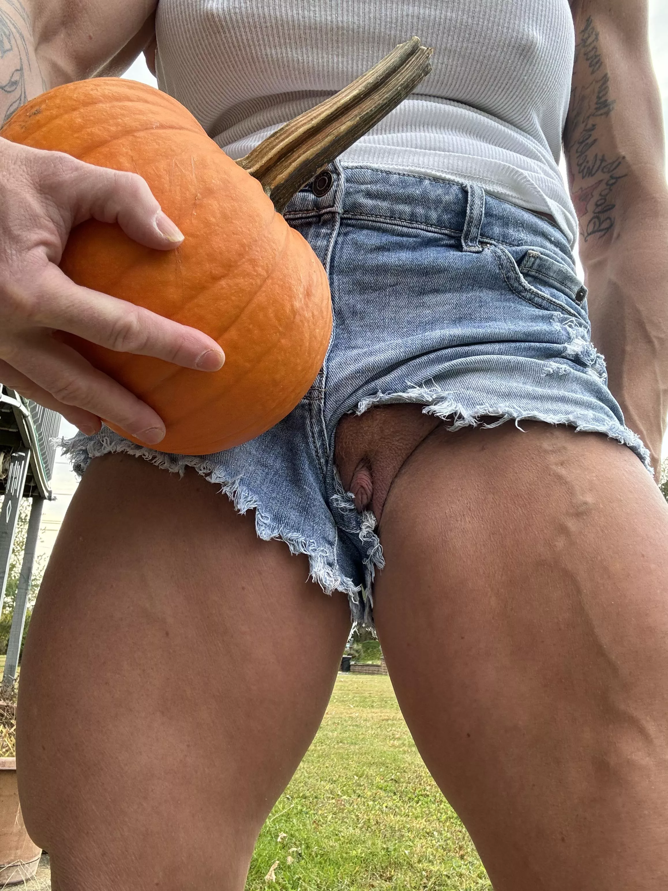 I mean Who doesn’t love pumpkin pie 