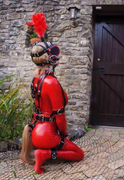 Latex ponygirl obediently waiting for her owner