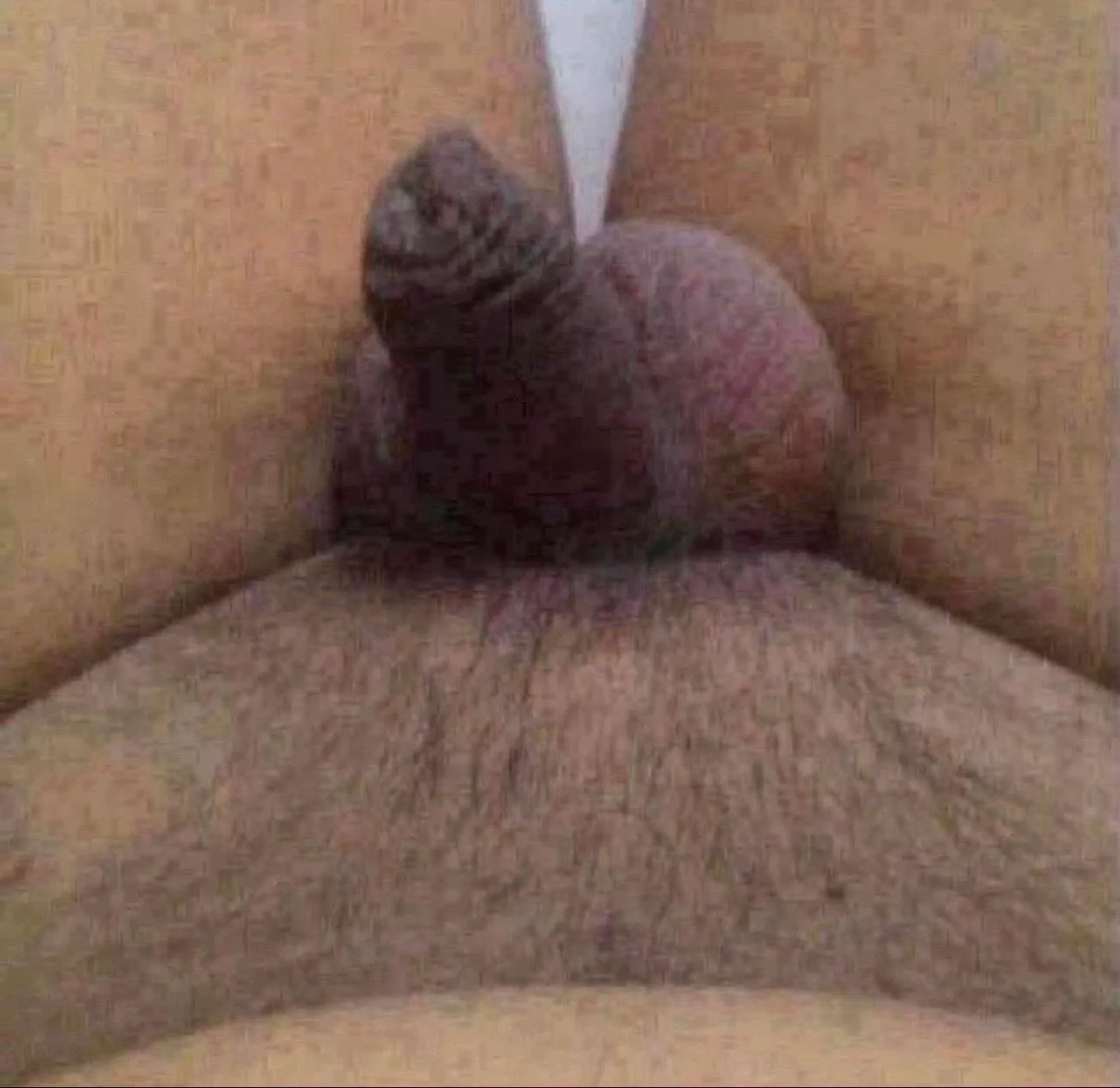 Let the little 🍤 have it