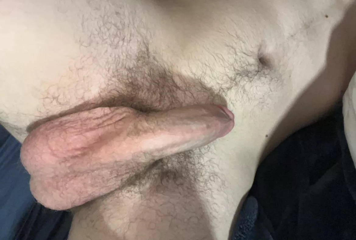 M22 looking to get my dick sucked 