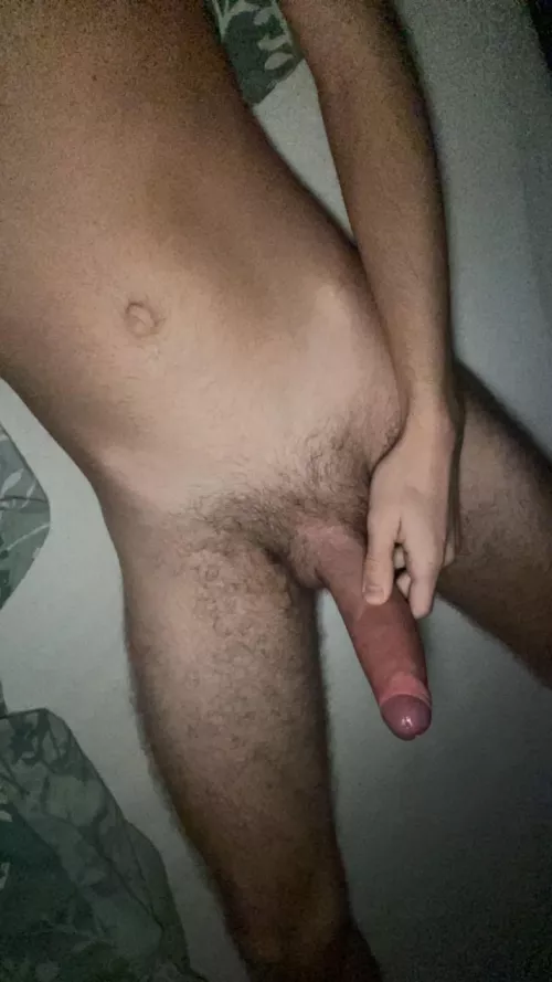 Mein Schwanz muss dringend geritten werden 😈