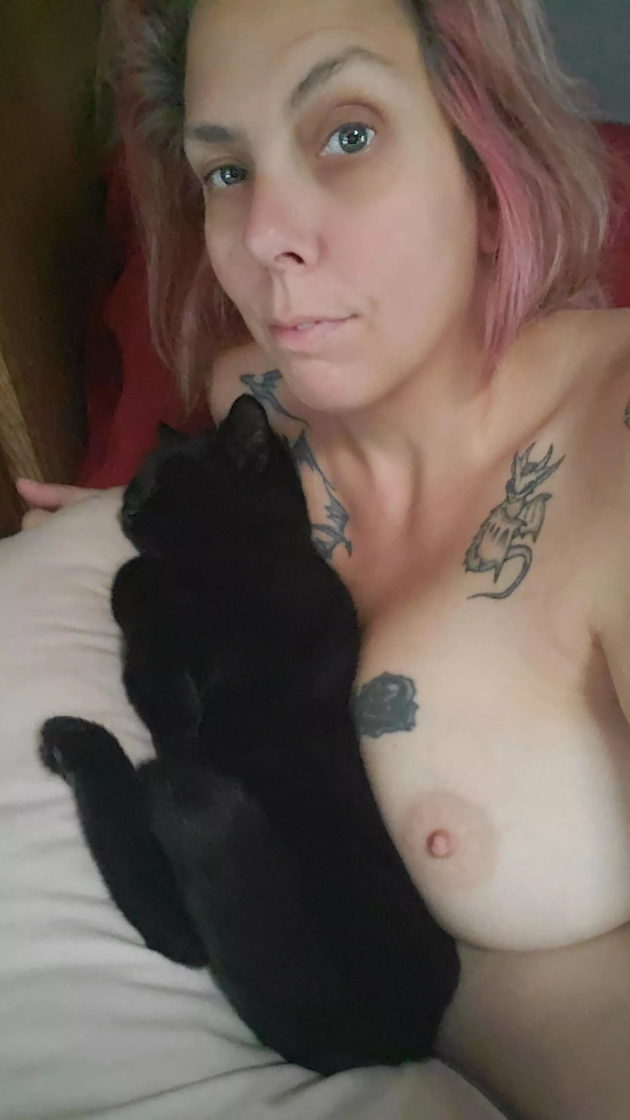 Morning titties and kitties 