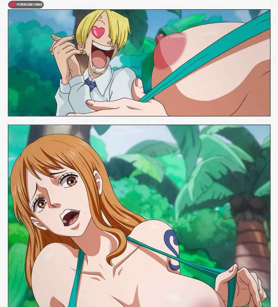 Nami and sanji (lyumus)