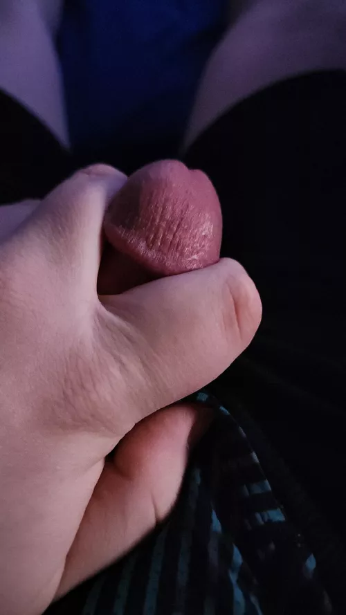 Near phx. Lookin for a little love tonight? 