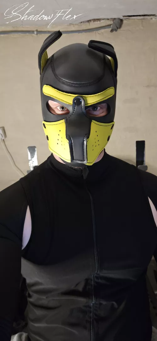 New gear, in a mood today