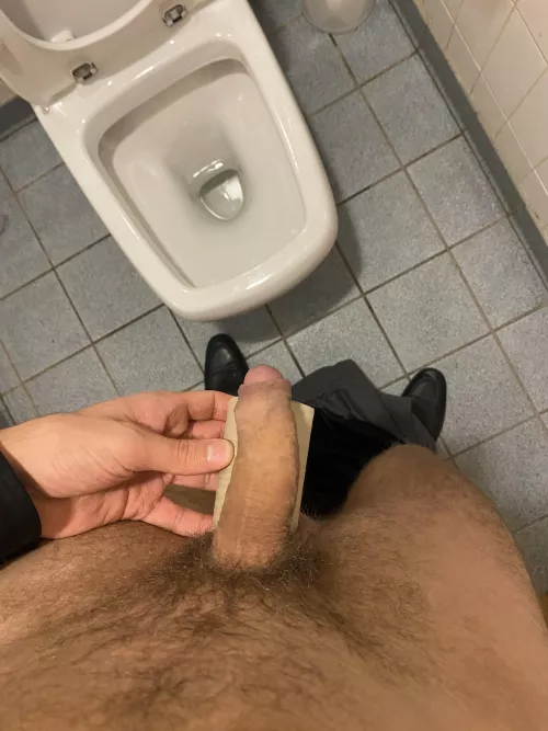 Soft cock vs toilet roll 