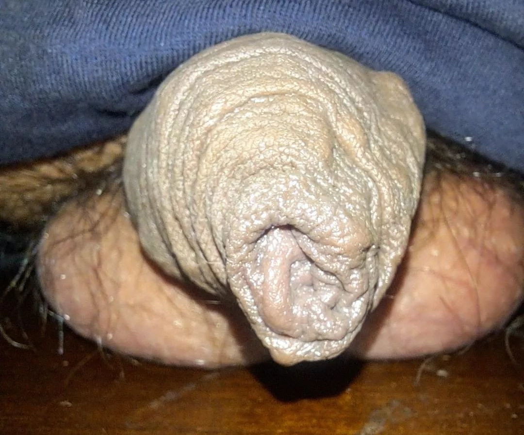 Staring down the barrel