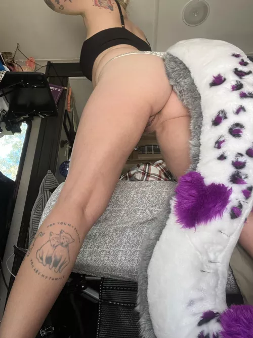 This good kitty is all leg..