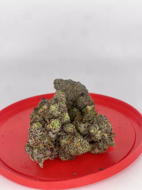 White Chocolate 🍫 