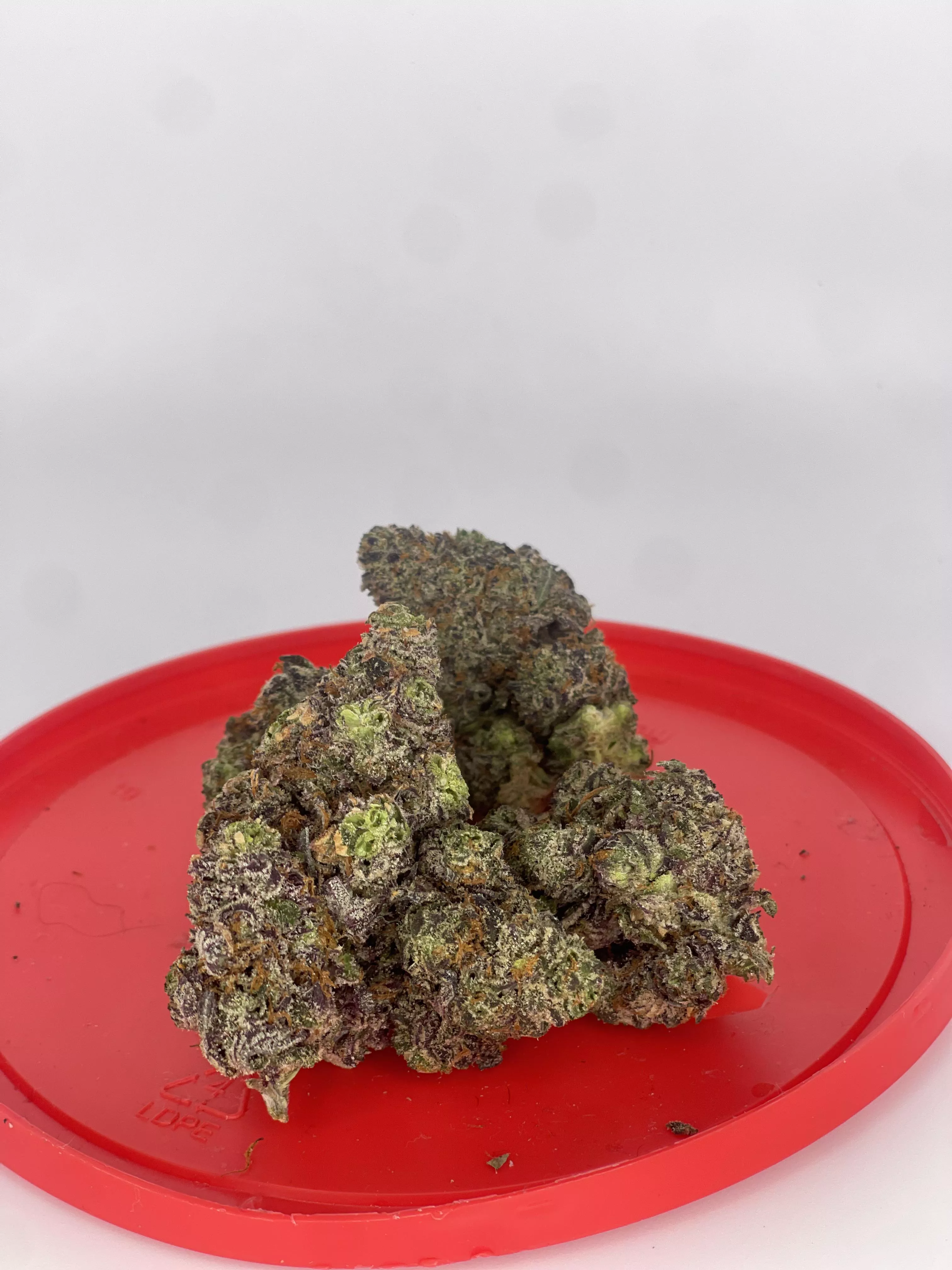 White Chocolate 🍫 