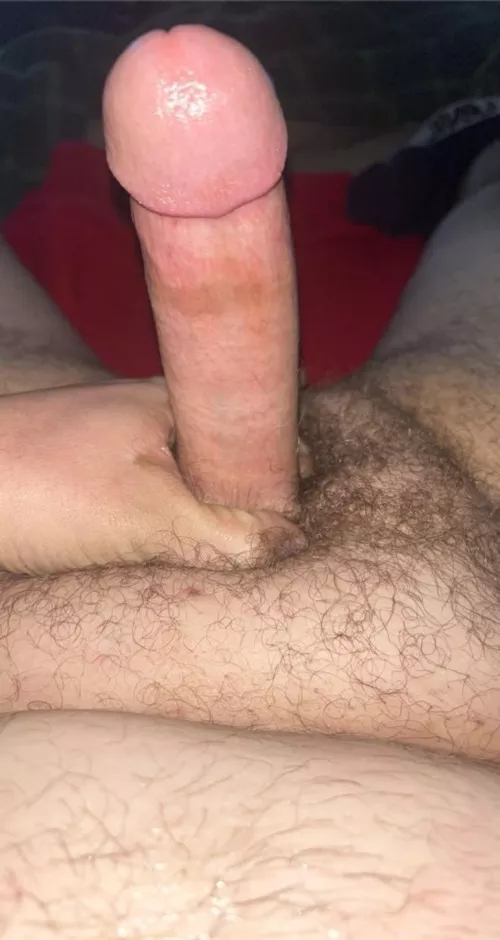 Who needs a dildo replacement 