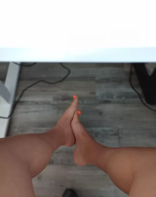 Who wants to be under my desk?