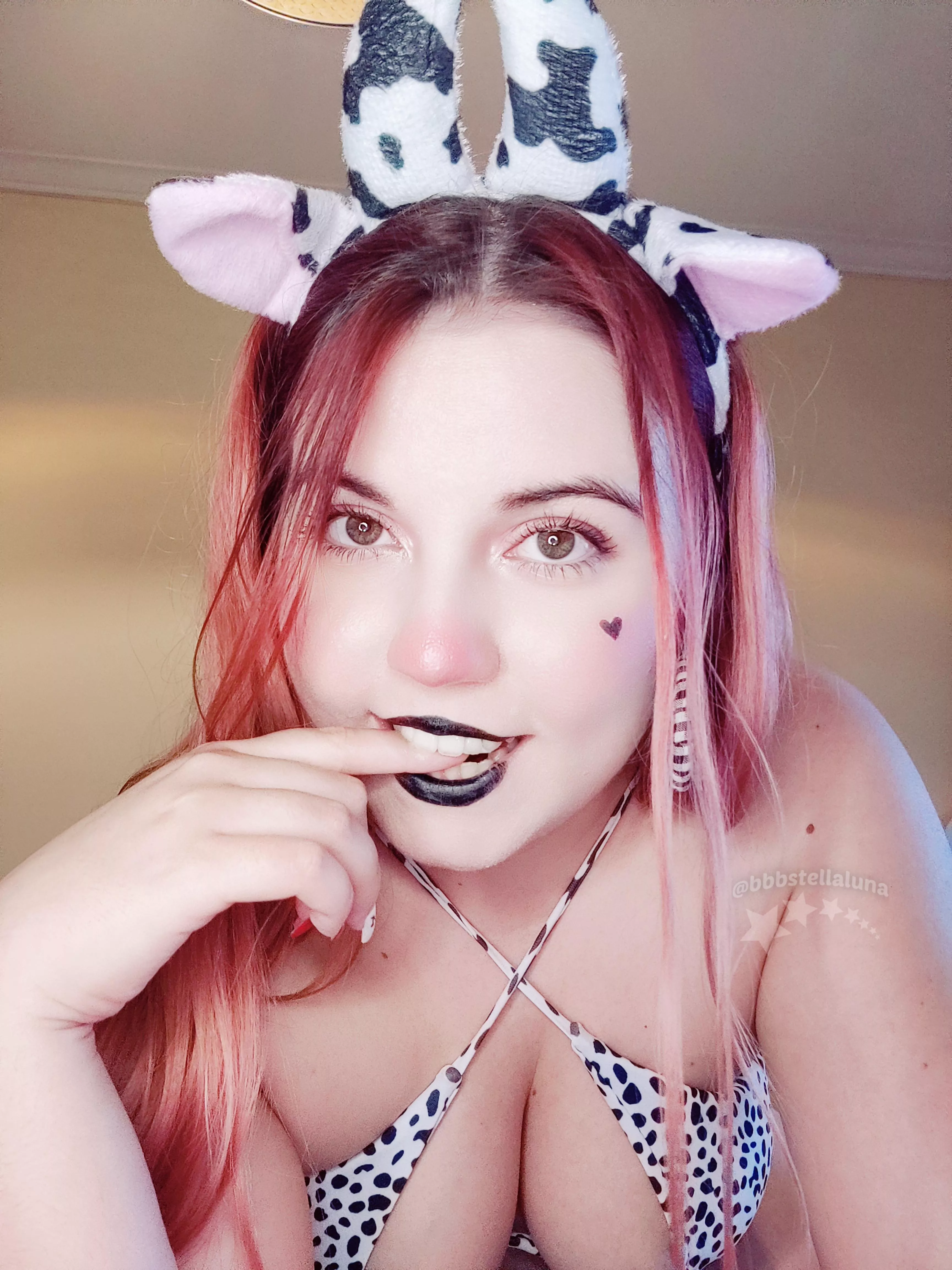 Would you milk this cow?