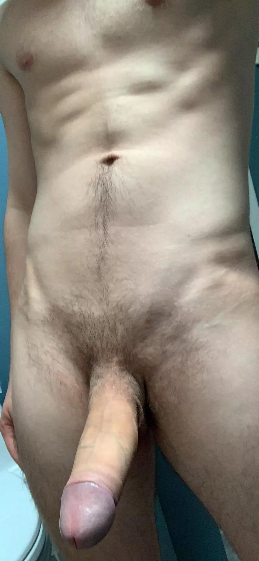 24M BWC Bull, looking for size queens, hotwives, couples, and more