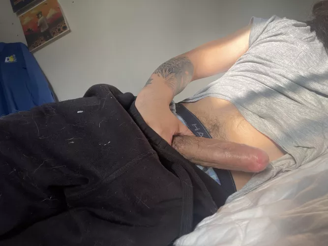 (25) plop how’s it looking